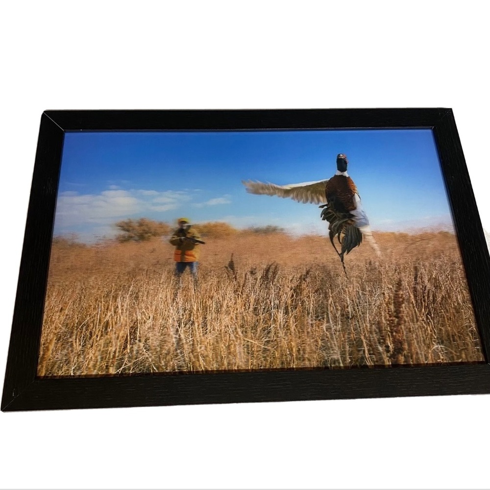 Hunter’s Dream Hologram 3D Picture Framed Ducks Fields Wildlife
